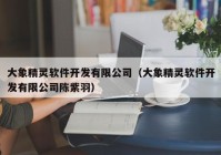 大象精灵软件开发有限公司（大象精灵软件开发有限公司陈紫羽）