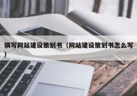 撰写网站建设策划书（网站建设策划书怎么写）