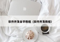 软件开发自学教程（软件开发教程）